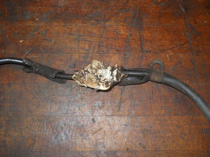 Buzzing noise when starter button pressed Honda Twins